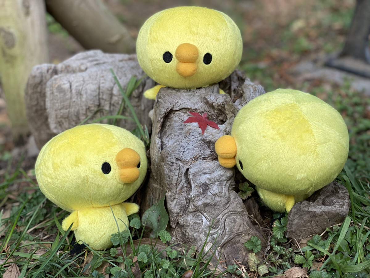 Amazon.co.jp: ぴよたそ ひよこぬいぐるみ 体長約13cm : おもちゃ